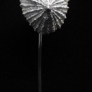 Aguja de lapa de plata