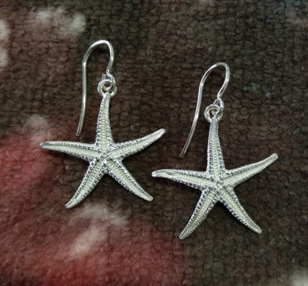Pendientes de plata de estrellas de mar (asteroidea)