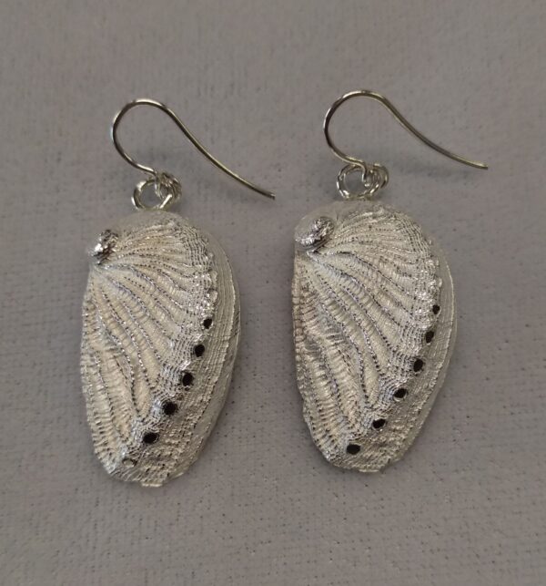 Pendientes de plata de orejas de mar grandes (haliotis) - Imagen 2