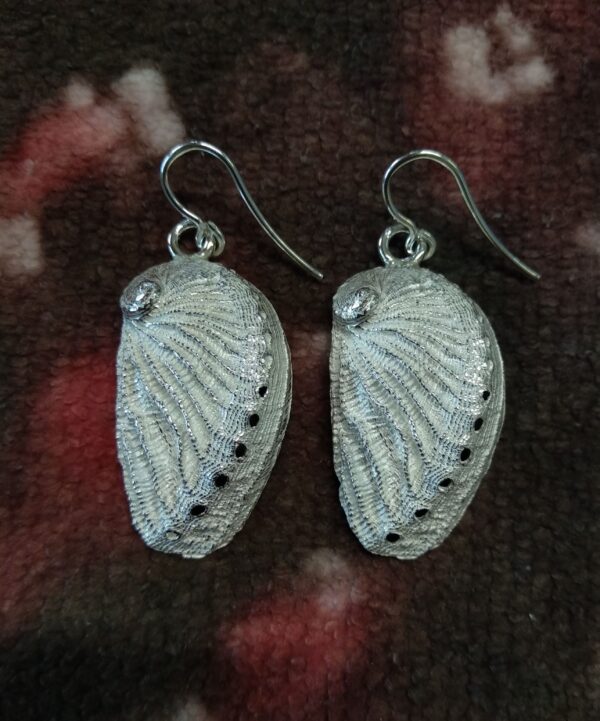Pendientes de plata de orejas de mar grandes (haliotis)