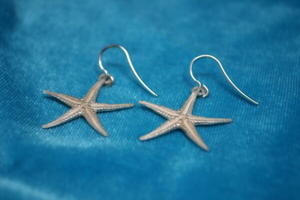 Pendientes de plata de estrellas de mar (asteroidea) - Imagen 2