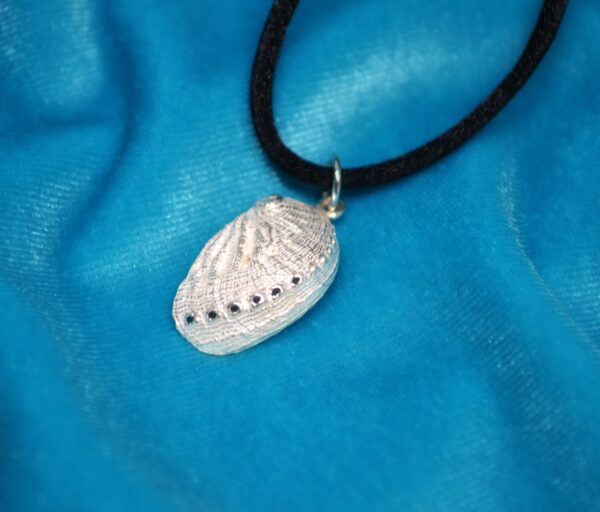 Colgante de plata de oreja de mar pequeño (haliotis) - Imagen 2