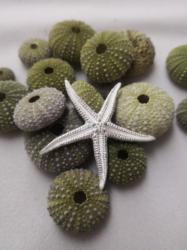 Colgante de plata de estrella de mar grande (asteroidea) - Imagen 2