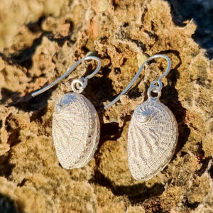 Pendientes de plata de orejas de mar pequeños (haliotis)