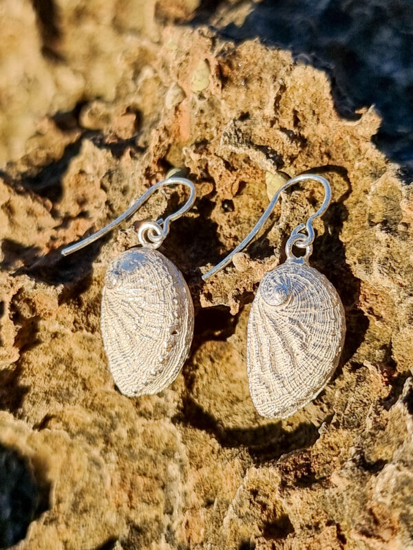 Pendientes de plata de orejas de mar pequeños (haliotis)