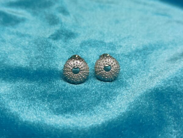 Pendientes de presión erizos de mar - Image 4