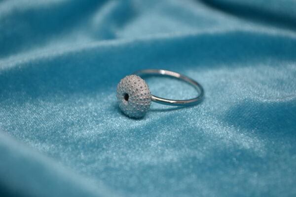 Anillo de erizo de mar de plata (erizo pequeño) - Imagen 3