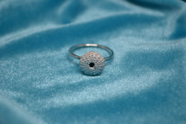 Anillo de erizo de mar de plata (erizo pequeño) - Imagen 2