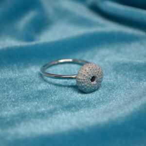 Anillo de erizo de mar de plata (erizo pequeño)