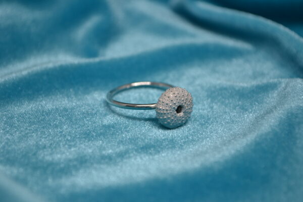 Anillo de erizo de mar de plata (erizo pequeño)