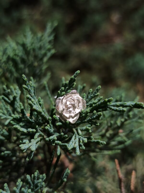 Pendientes de rosa de plata