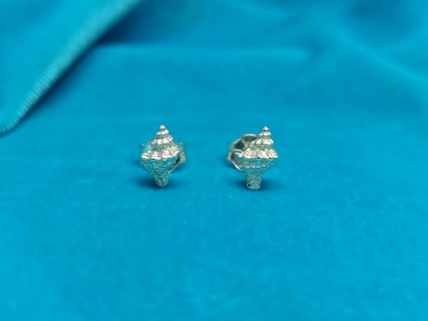 Pendientes caracola de plata pequeños a presión